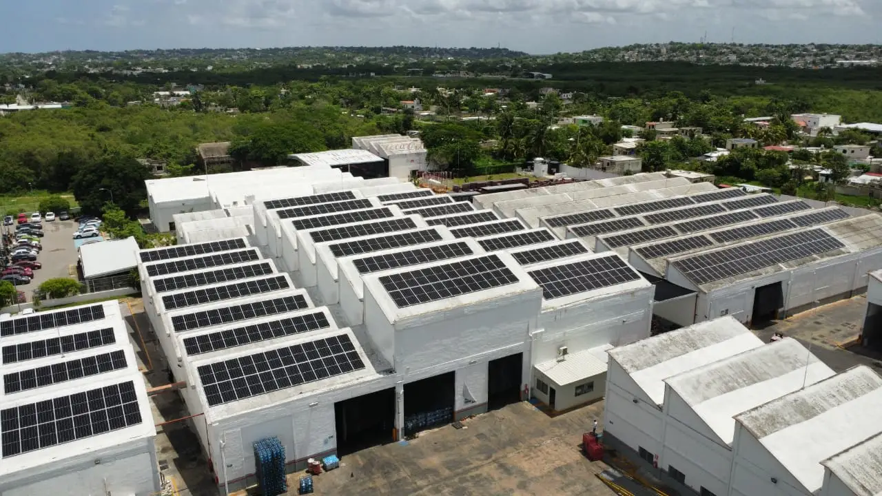 nergic venta de paneles solares mexico
